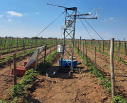 Orchard installation