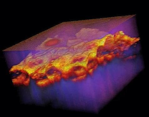 ID Systems on a mobile device