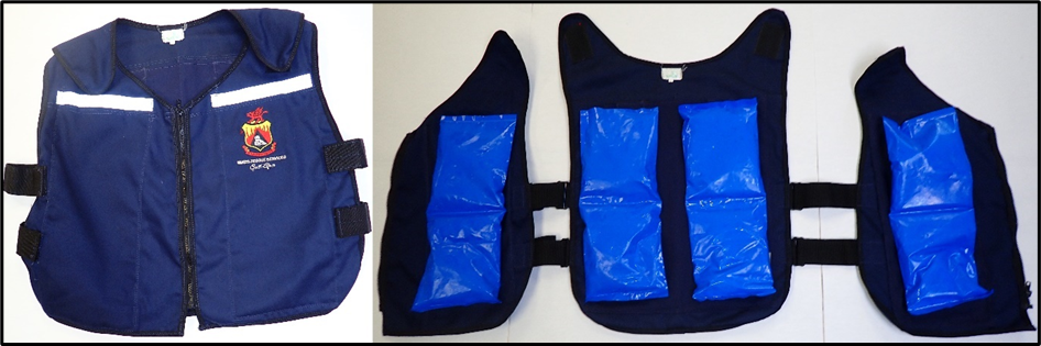 Body cooling garment