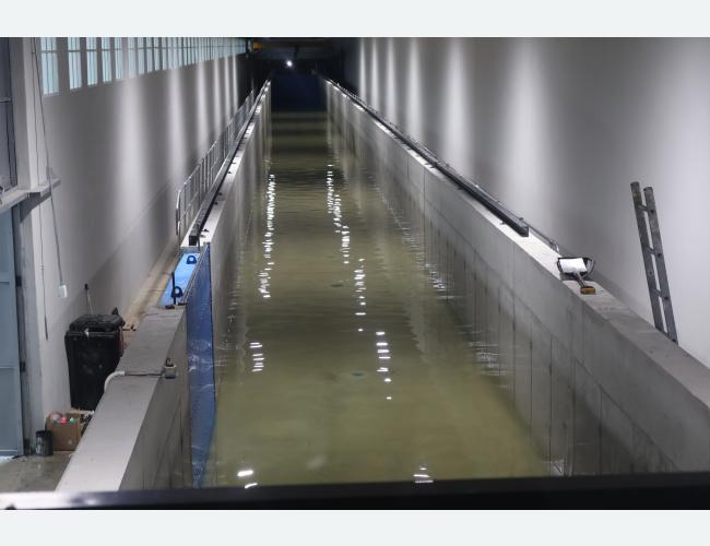 coastal structure performance