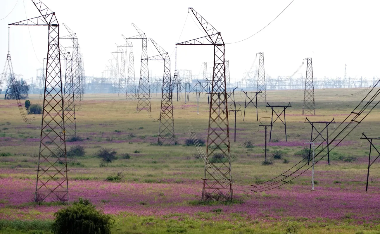 ID Systems on a mobile device