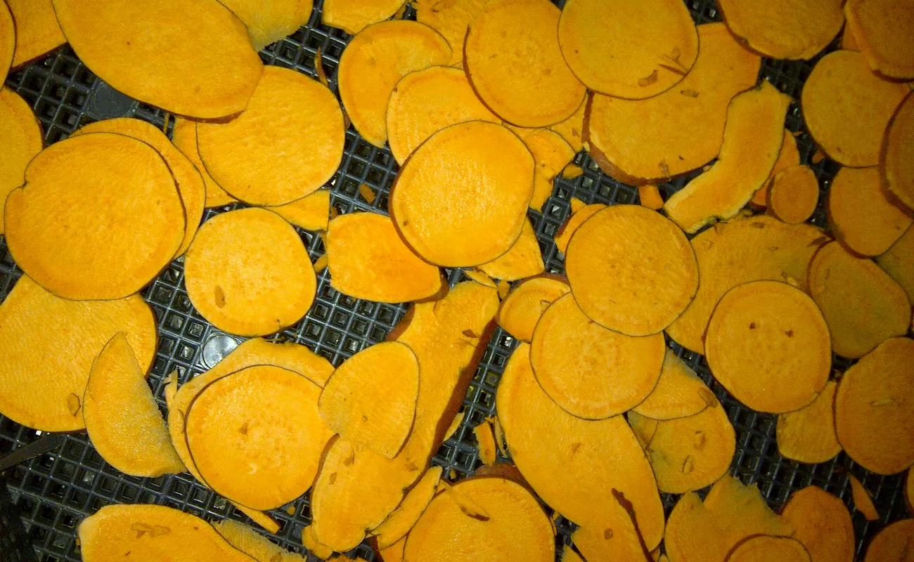 processed products from orange-fleshed sweet potato 