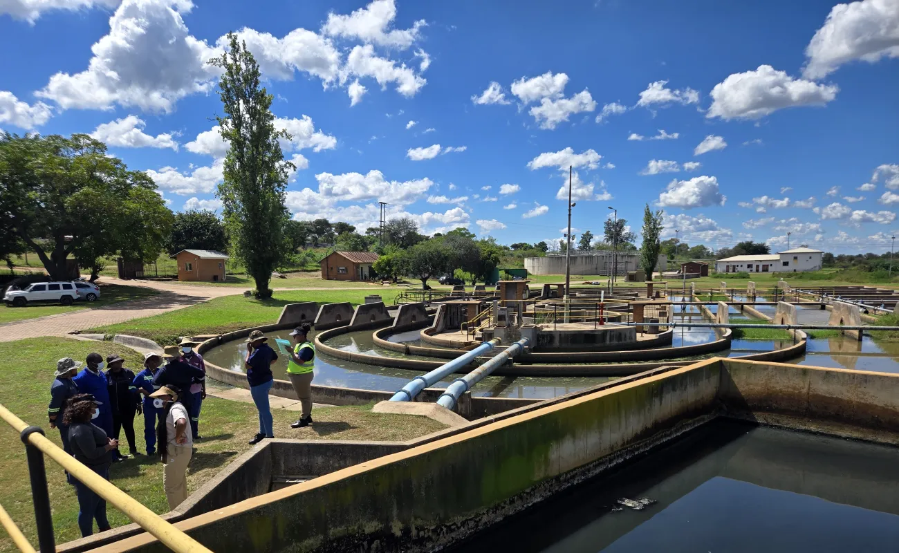Person standing around trees