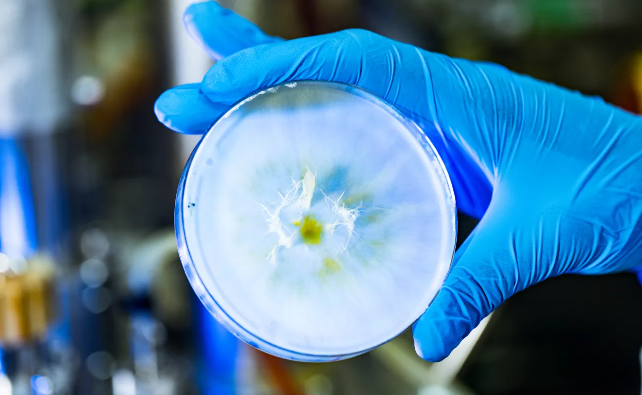 person looking at chemicals