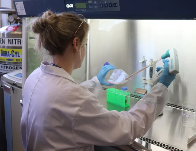 Animal health – Diagnostics and vaccine laboratories