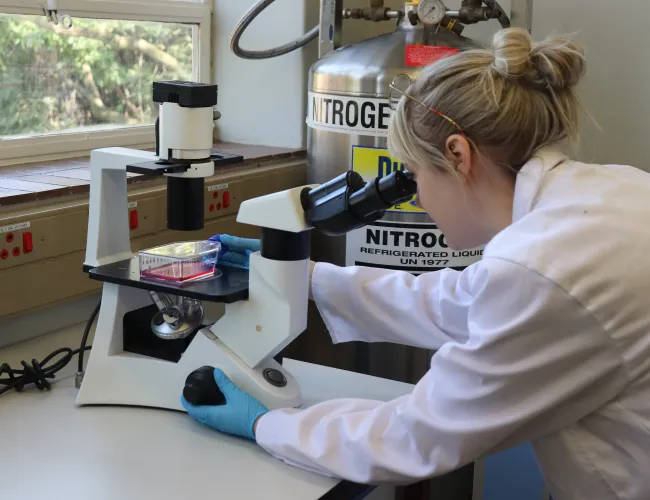 Aquaculture and animal health cell culture lab