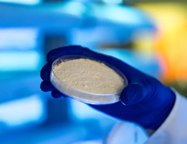 Advanced functional materials platform