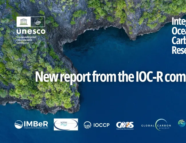unesco report