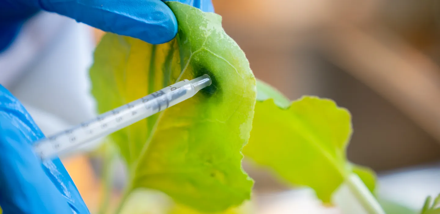 Vaccines and biotherapeutics