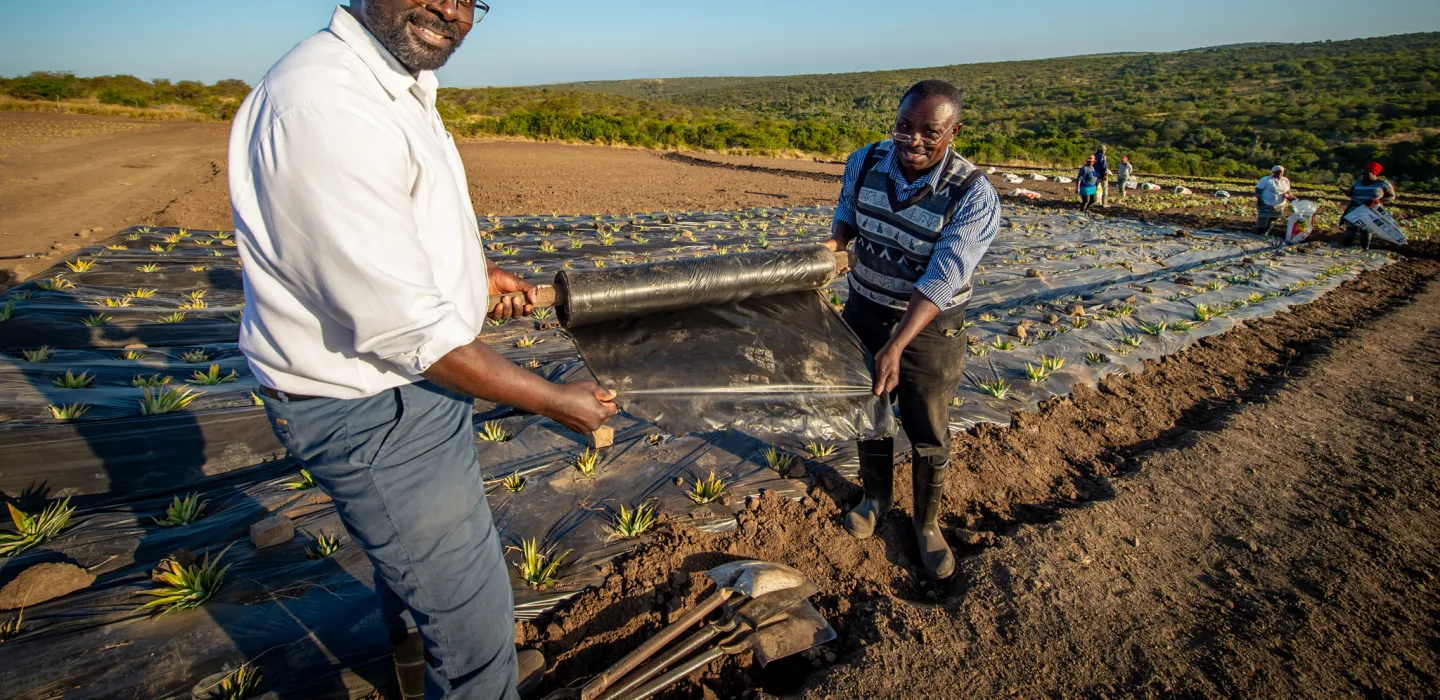 Nanostructures and materials