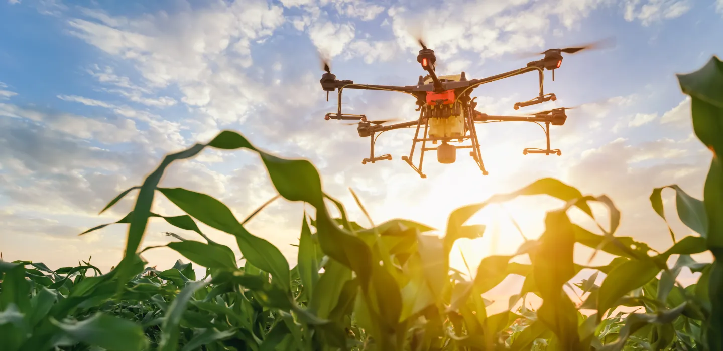 Precision agriculture