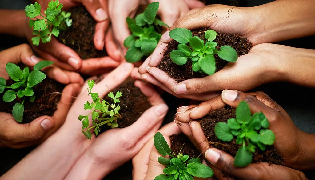 Different hands holding small plants