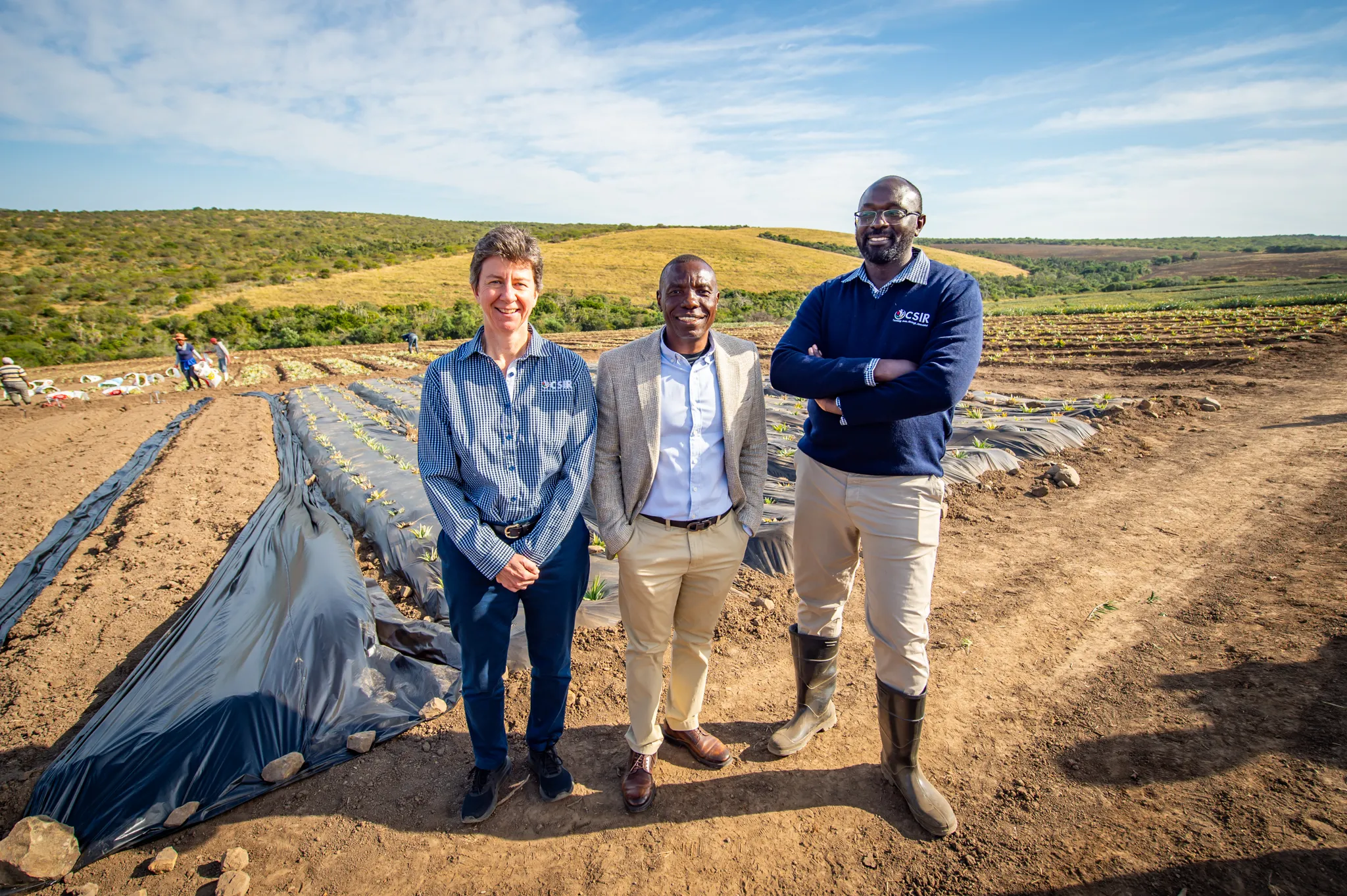 Plastic free farming